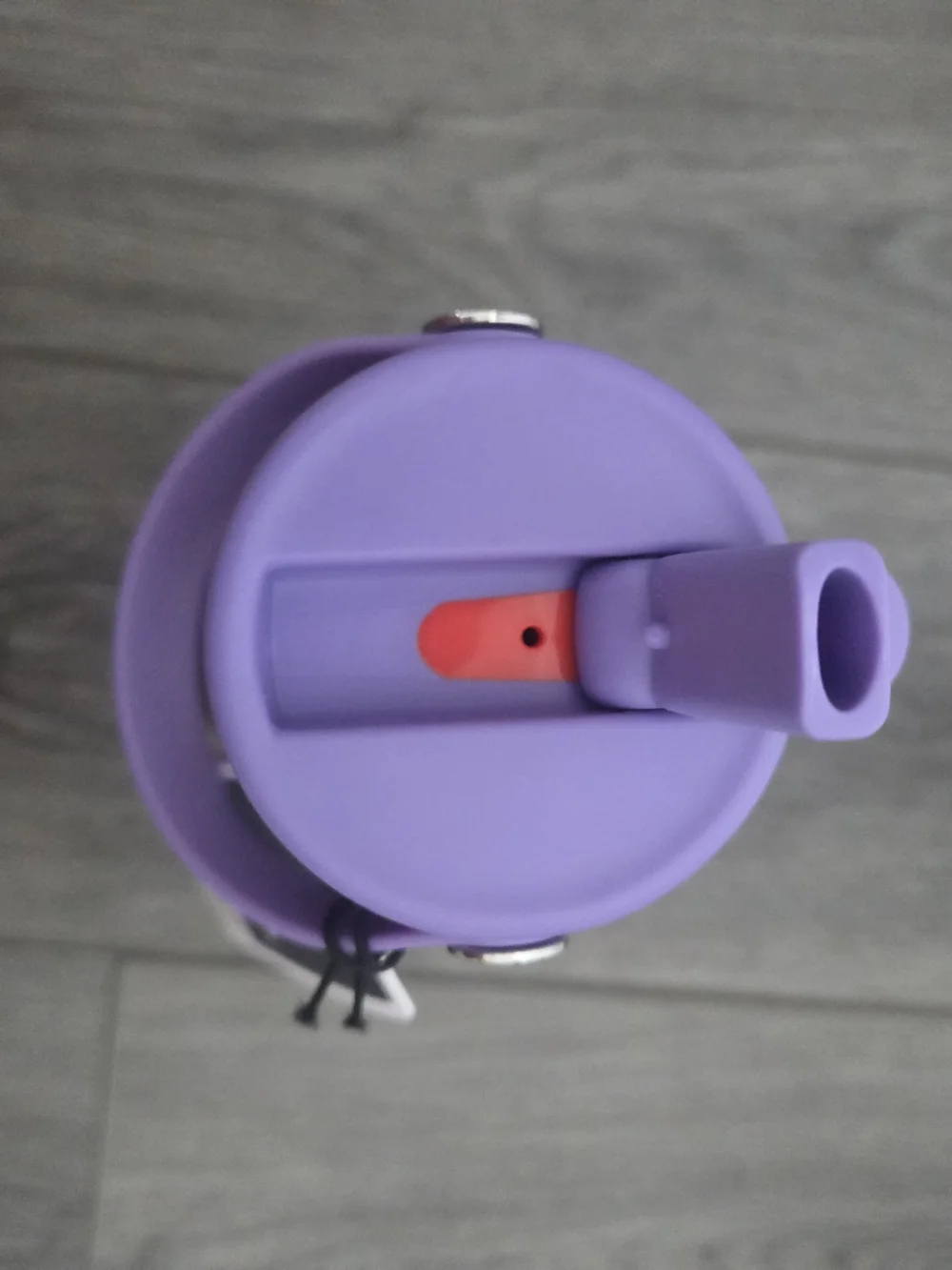 Hydro Flask Stainless Steel Bottle with Purple Cap